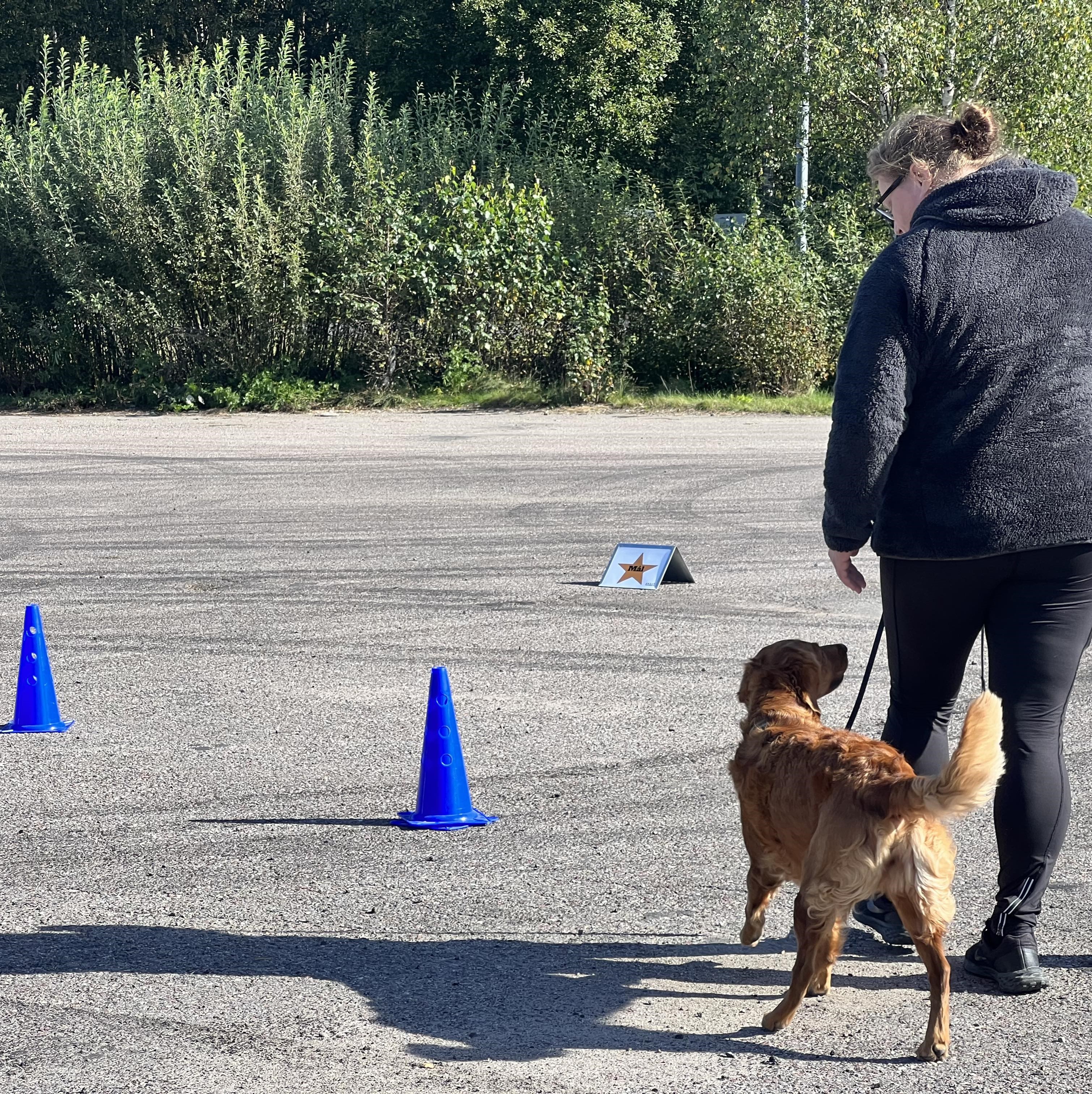 Rallylydnad nybörjarklass grund start den 16/9