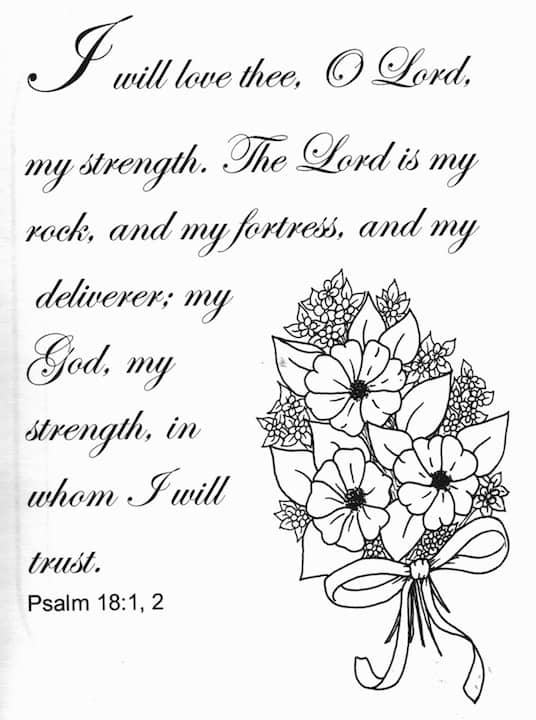 I will love thee, O Lord, my stength. The Lord is my rock, and my ...