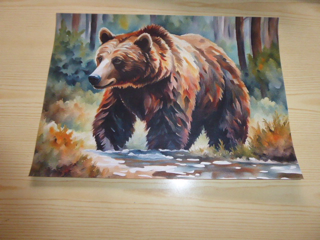 Brunbjörn konst poster storlek A4