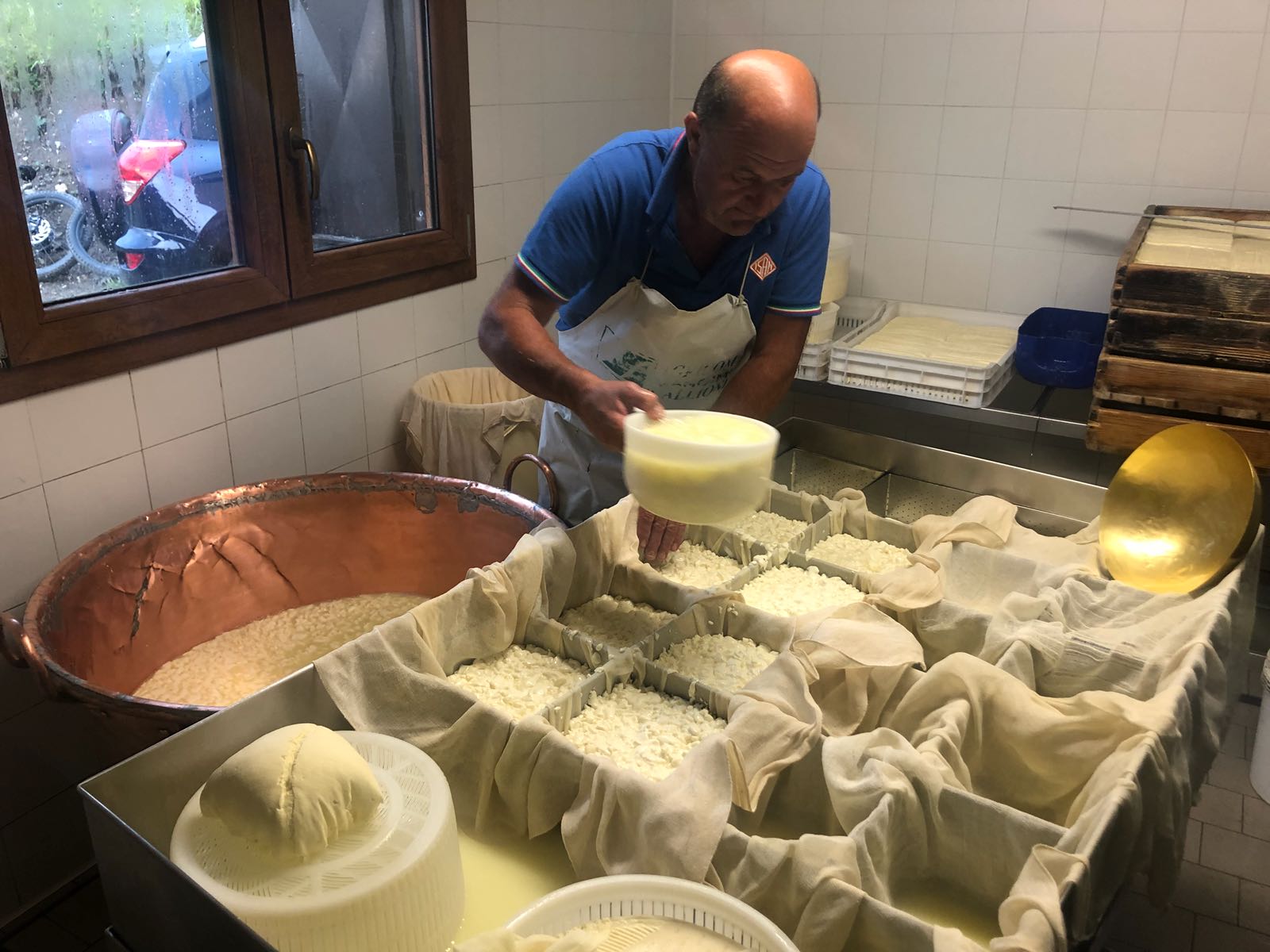 Träffa ostmakaren claudio som på sommaren mjölkar och gör sin traditionella ost i sin stuga i bergen