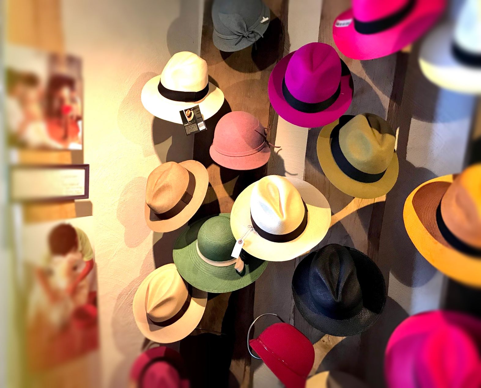 butik, Ecuador, alpacka, panamahatt, Panama hatt, resa, local, cooperative