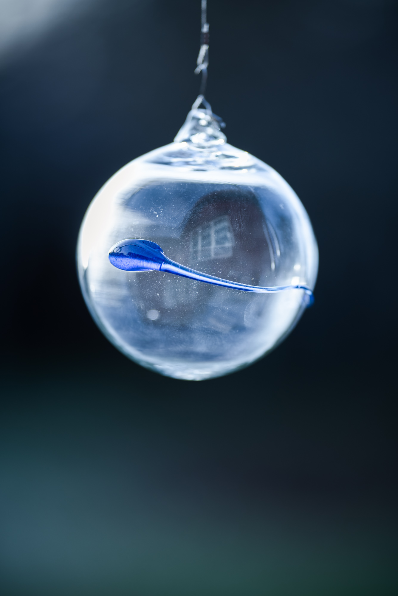 ANOVA Crystal  Egg with Blue Sperm