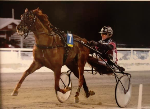 Why Not Blanche tog sin första seger i karriären på ett imponerande vis! Sundbyholm 17 december 2018